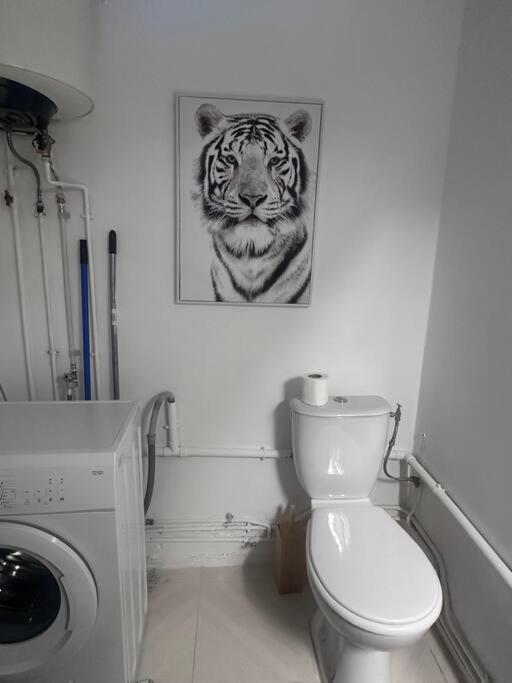 Sagesse D'elodie. Apartment